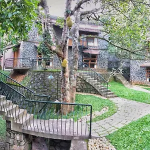 Wildernest Bed and breakfast